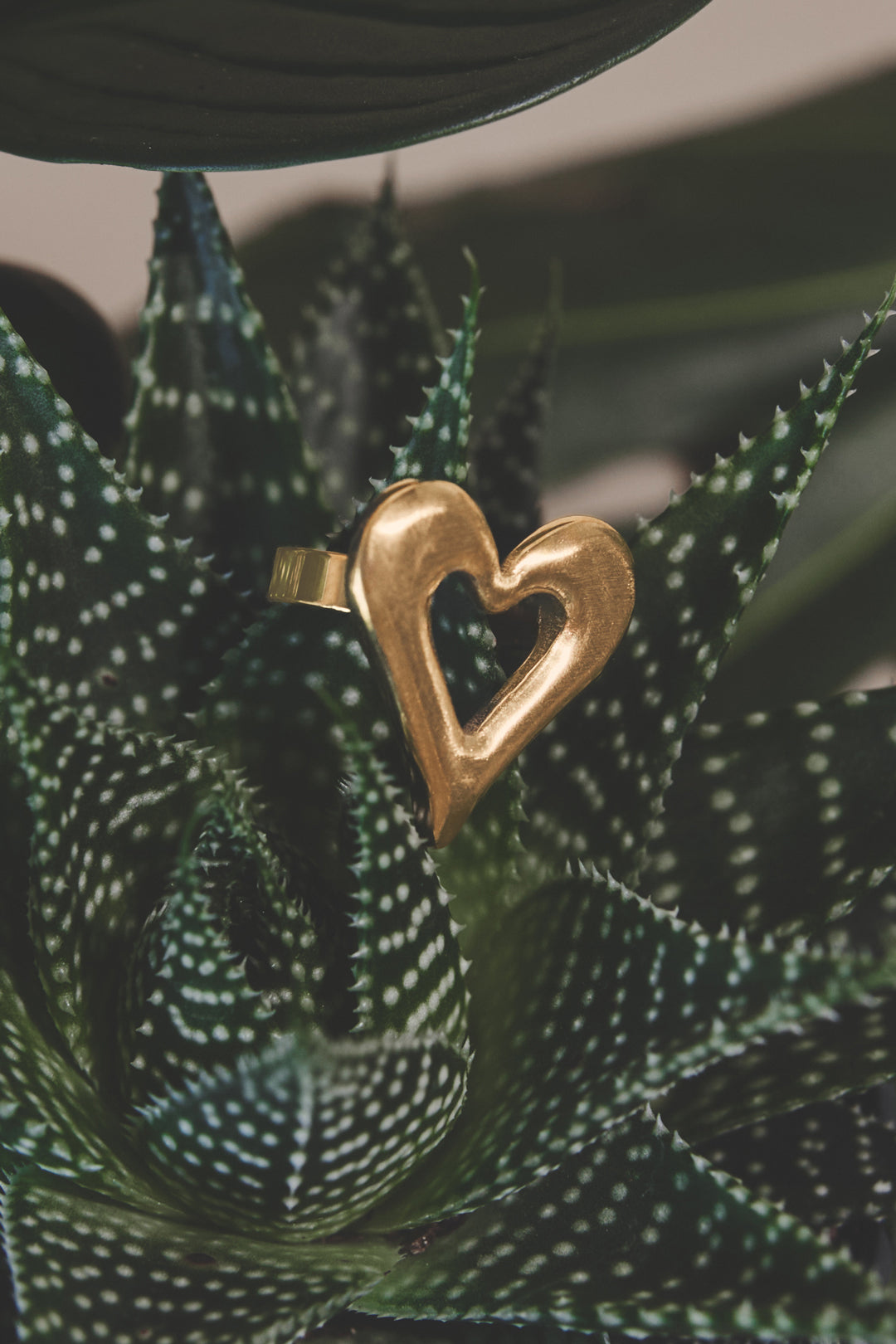 Statement Ringen Hart Casual Dagelijks Eenvoudig Serie Dames Sieraden